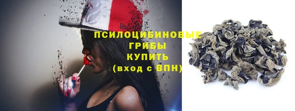 мдпв Новодвинск